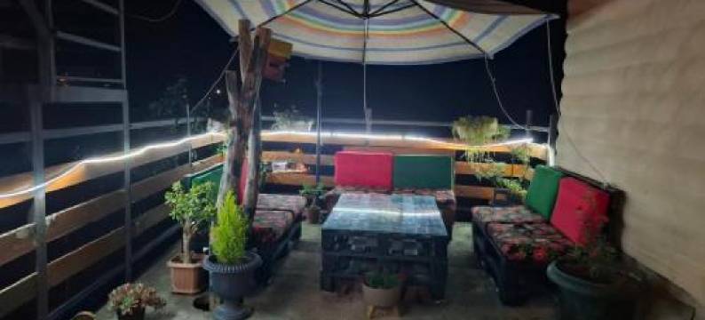 Borjomi Nest 1图片