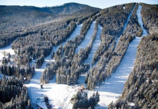 Cozy Forest Adventure Stay Hotel Overview