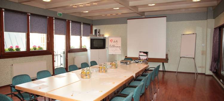 施洛斯伯格林格酒店(Ringhotel Schlossberg)图片