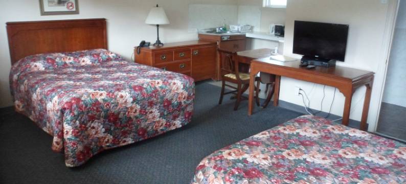 银桦树汽车旅馆(The Silver Birch Motel)图片