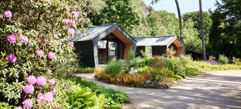 坎皮纳斯塔特(Kampina Staete)图片