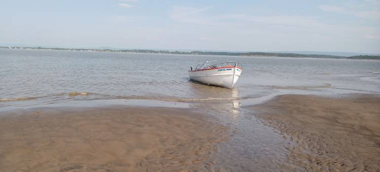 奥贝尔日宾馆伊斯尔-奥克鲁(Auberge Pourvoirie Isle-Aux-Grues)图片