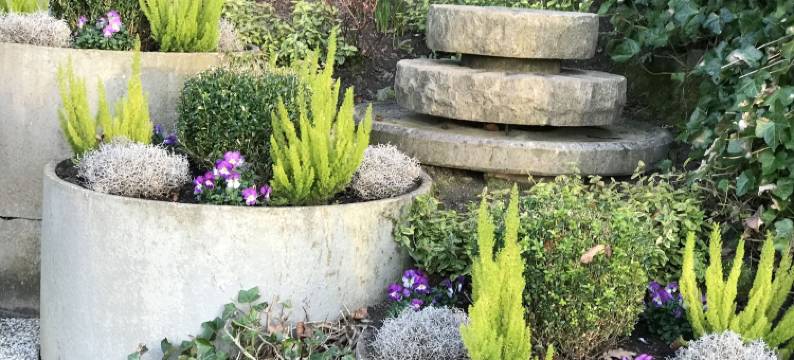 达斯奥斯特斯布里克酒店(Das Hotel Ostseeblick)图片