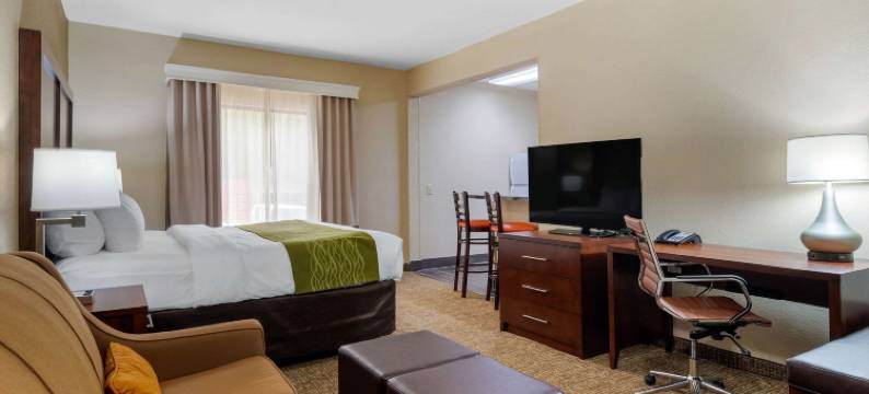 舒适套房酒店(Comfort Inn & Suites)图片