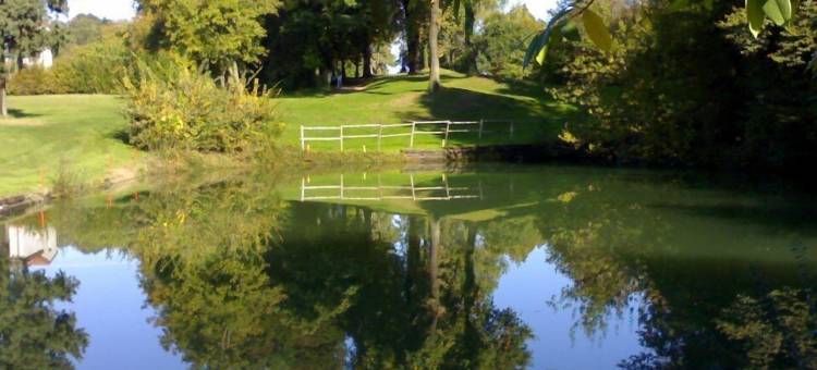 波利克莱提别墅酒店(Hotel Villa Policreti)图片