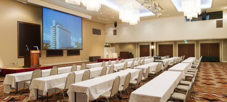 ART旭川酒店(Art Hotel Asahikawa)图片