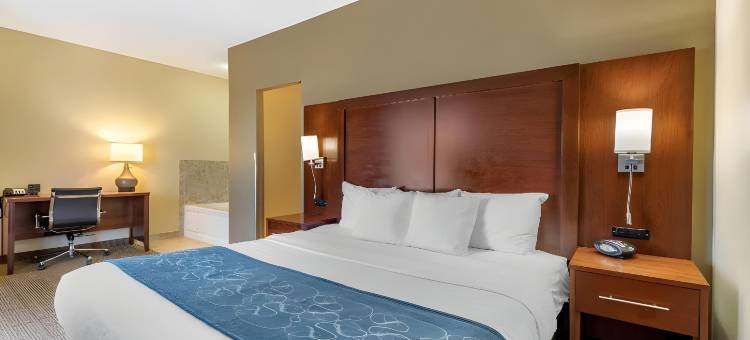 舒适套房酒店(Comfort Suites)图片