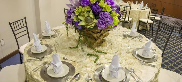 坦皮科迦马酒店(Gamma Tampico)图片