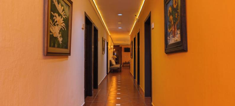 维拉特拉酒店(Hotel Villa Terra)图片