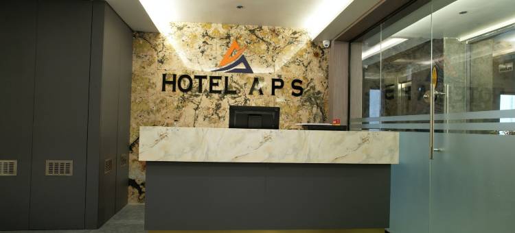 APS酒店(Hotel APS)图片