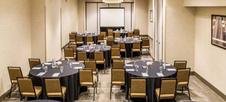 坎布里亚酒店芝加哥环线-剧院区(Cambria Hotel Chicago Loop - Theatre District)图片