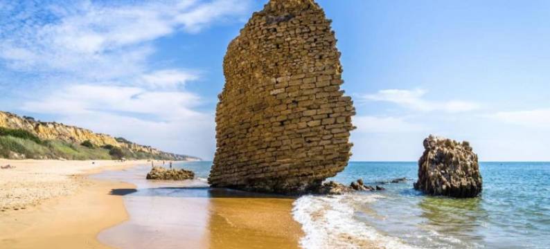 Sunny Terrace Near Marbella图片