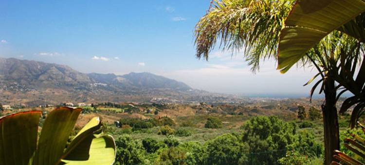 Sunny Terrace Near Marbella图片