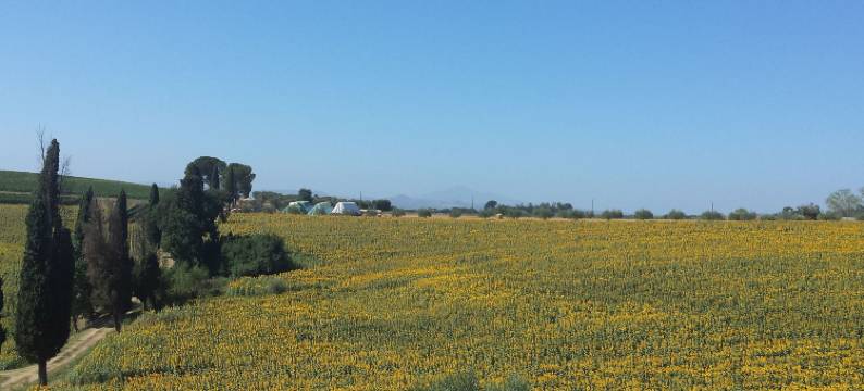 Rustic Charm, Modern Comfort图片