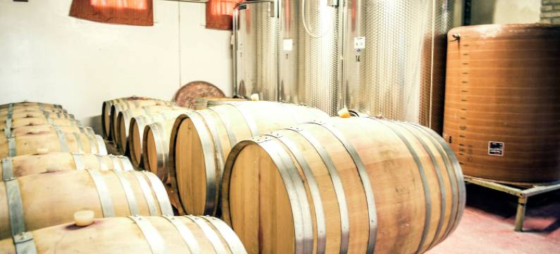 Apartment in Coriano near Vineyards & Beaches图片