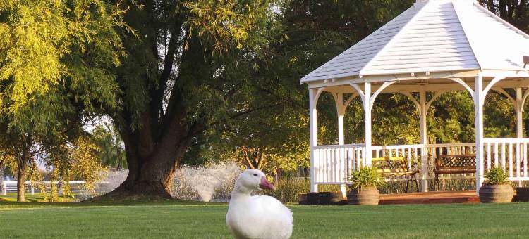 帕克兰会议度假酒店(Parklands Resort Mudgee)图片