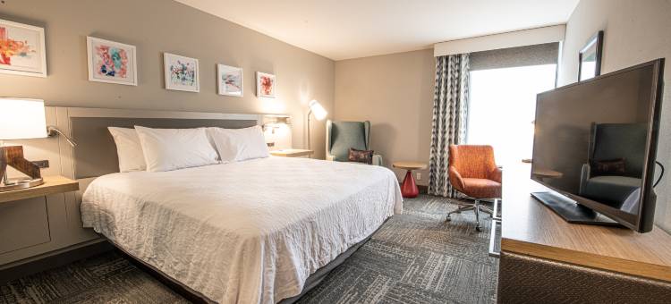 南阿什维尔希尔顿花园酒店(Hilton Garden Inn Asheville South)图片