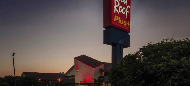 红顶优质酒店-波士顿弗雷明汉(Red Roof Plus+ Boston - Framingham)图片