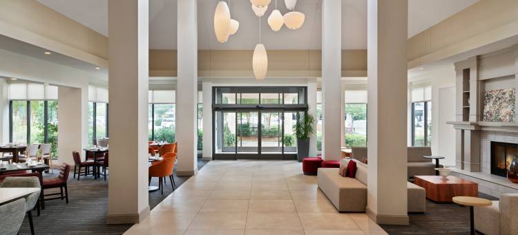 夏洛特埃尔斯利希尔顿花园酒店(Hilton Garden Inn Charlotte/Ayrsley)图片