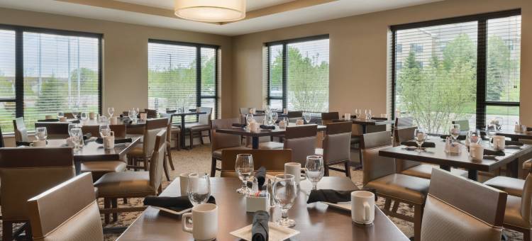 芝加哥-绍姆堡假日酒店(Holiday Inn Chicago - Schaumburg)图片