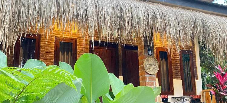 Billi家庭(Billi Family)图片