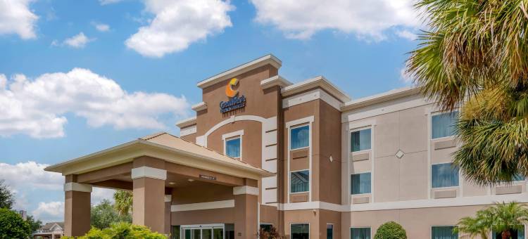 怀尔伍德-村庄舒适套房酒店(Comfort Inn & Suites Wildwood - the Villages)图片