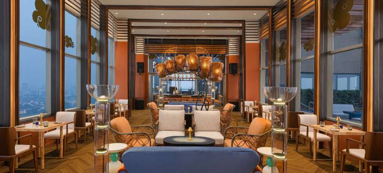 新德里市中心诺富特酒店(Novotel New Delhi City Centre)图片