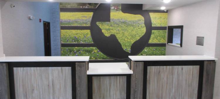 迪凯特呗盟套房酒店(Baymont by Wyndham Decatur)图片