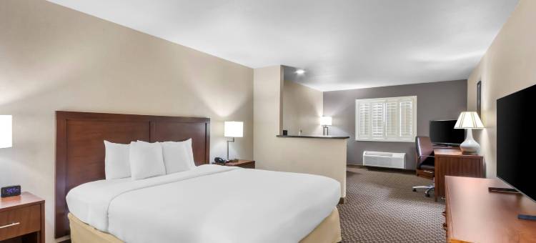 撒切尔舒适套房酒店(Comfort Inn & Suites Thatcher - Safford)图片