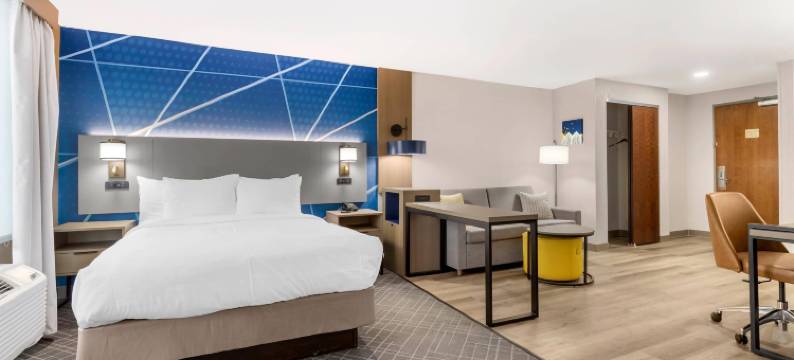 舒适酒店及套房(Comfort Inn & Suites)图片