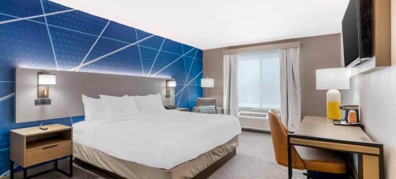 舒适酒店及套房(Comfort Inn & Suites)图片