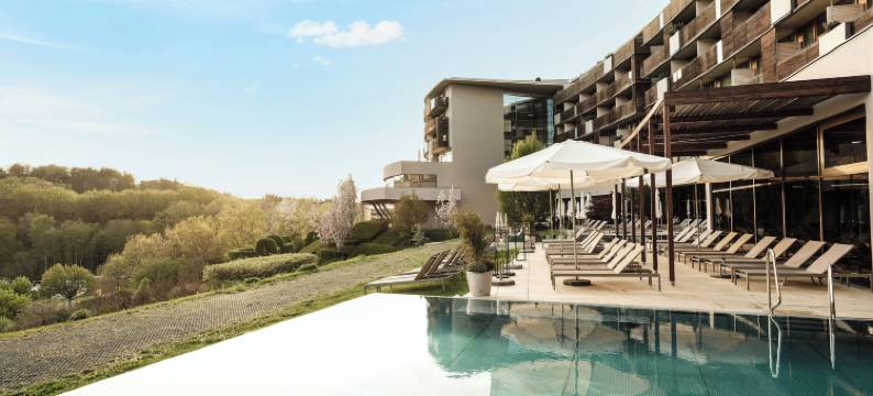 施泰格斯巴赫福肯斯坦巴郎斯度假酒店(Falkensteiner Balance Resort Stegersbach l Adults Only)图片