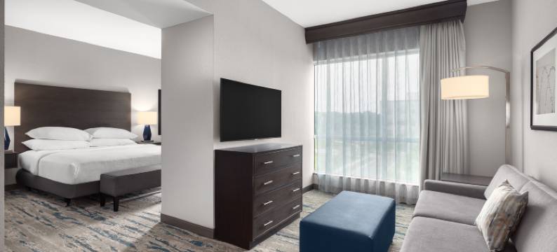 洛特爱斯丽希尔顿安泊酒店(Embassy Suites by Hilton Charlotte Ayrsley)图片