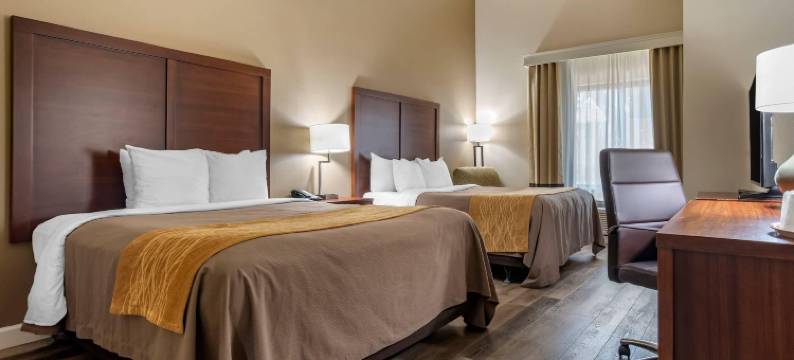 舒适套房酒店(Comfort Inn & Suites)图片