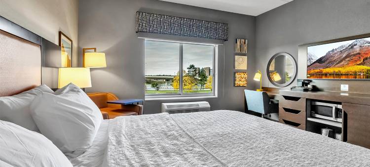 纽约州布法罗-阿姆赫斯特欢朋酒店(Hampton Inn Buffalo - Amherst)图片