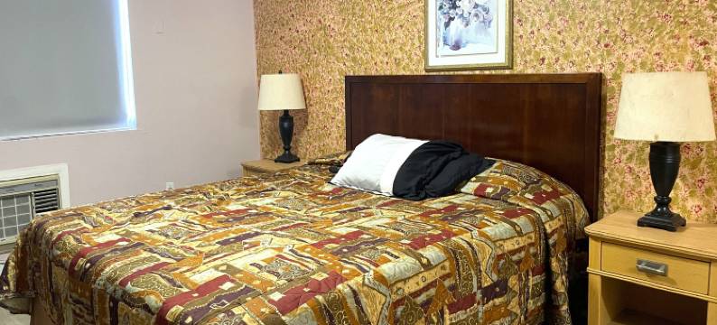 特拉维尔旅馆(Travel Inn Downtown La)图片