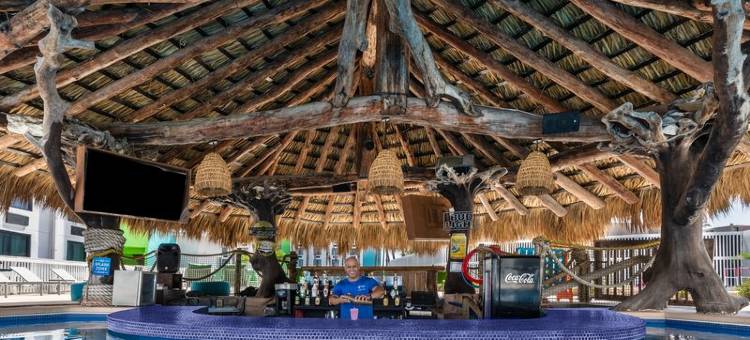 Holiday Inn Resort 南帕诸岛(Holiday Inn Resort SOUTH PADRE ISLAND-BEACH FRONT by IHG)图片