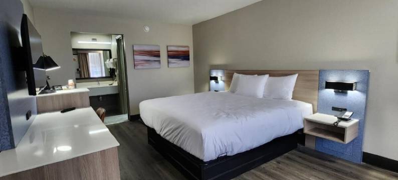 温德姆贝蒙特拉斐特酒店(Baymont by Wyndham Lafayette)图片