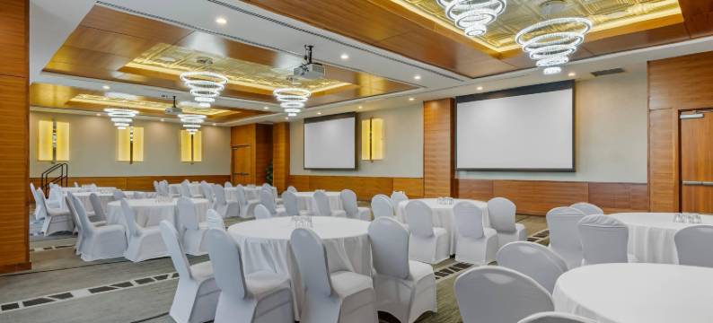 卡尔加里机场丽笙酒店及会议中心(Radisson Hotel & Conference Centre Calgary Airport)图片