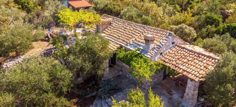 薰衣草之家(House Lavanda)图片