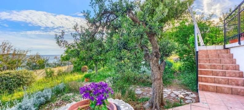 利迪娅公寓(Apartments Lidija)图片