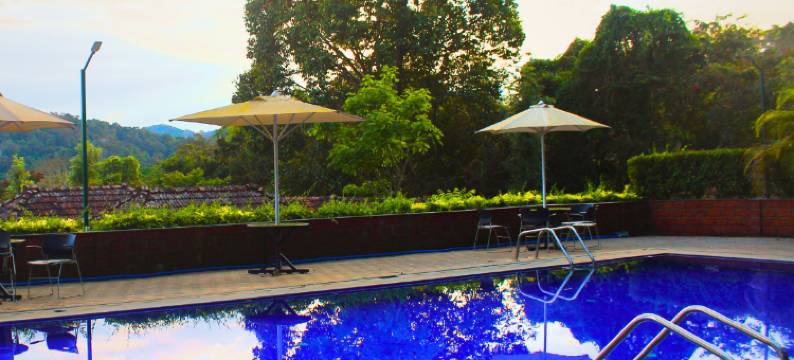 森林边缘度假村(Forest Edge Resort)图片