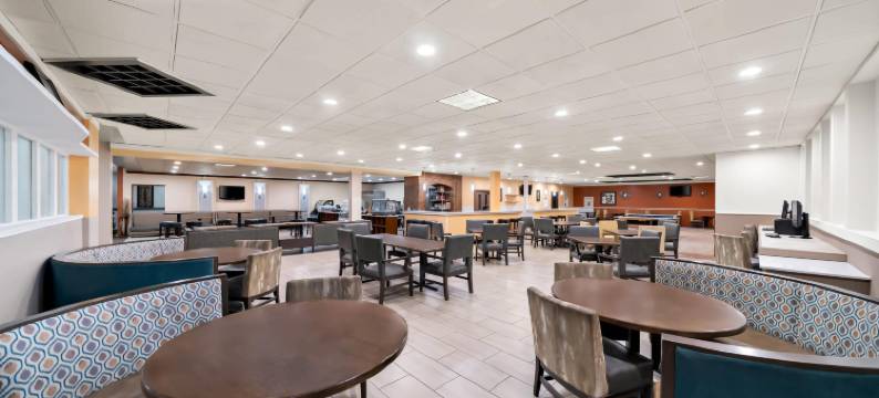 科尔尼郊区开间(Suburban Studios, Kearney)图片