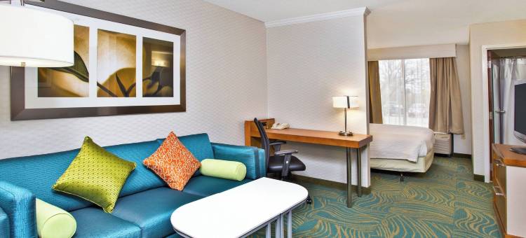 芝加哥内珀维尔/沃伦维尔SpringHill Suites酒店(SpringHill Suites Chicago Naperville/Warrenville)图片
