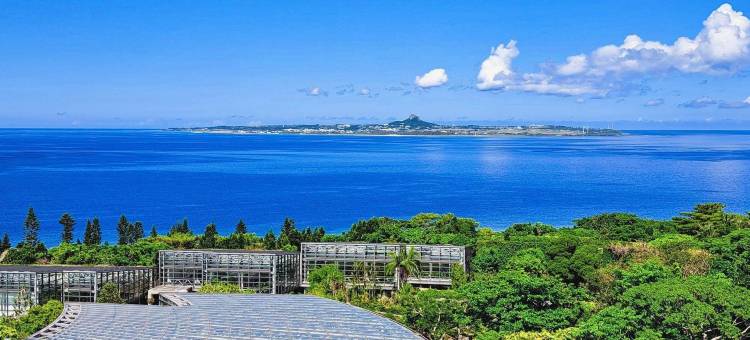 Wisteria公寓度假村(Wisteria Condominium Resort)图片