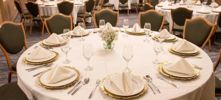 Holiday Inn Express 托雷翁(Holiday Inn Express TORREON by IHG)图片