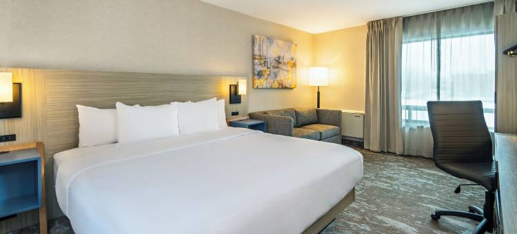 舒适酒店(Comfort Inn)图片