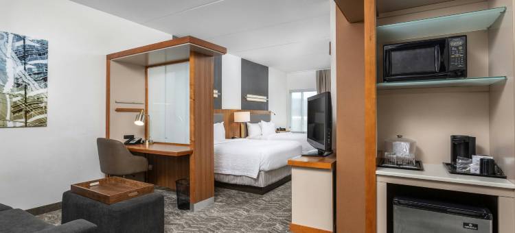 查塔努加市中心/卡梅隆港万豪SpringHill酒店(SpringHill Suites Chattanooga Downtown/Cameron Harbor)图片
