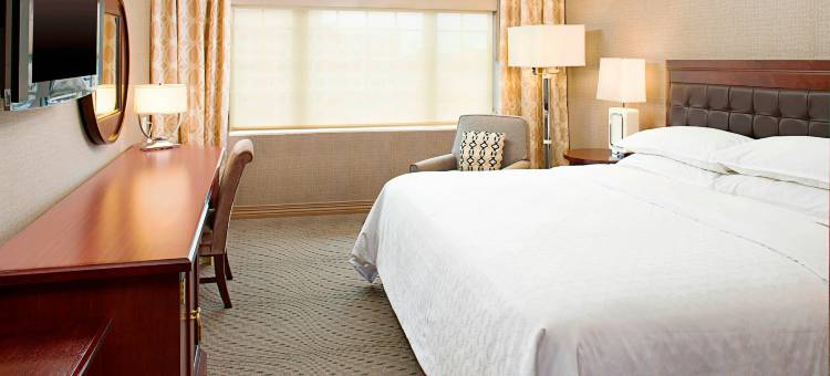 洛克维尔喜来登酒店(Sheraton Rockville)图片