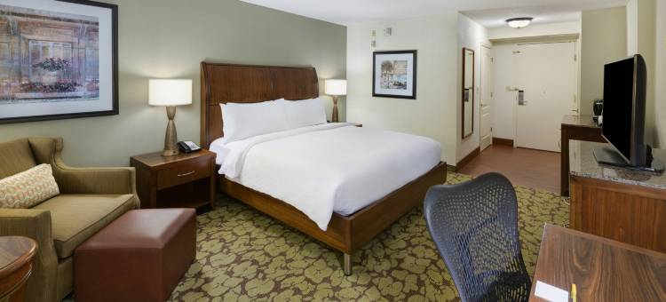 北亚特兰大/阿尔普哈雷塔希尔顿花园酒店(Hilton Garden Inn Atlanta North/Alpharetta)图片